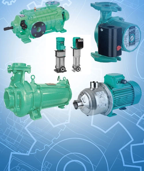  Eram Pumps
