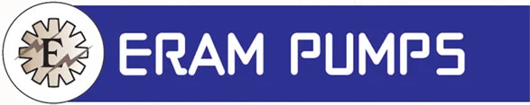 Eram Pumps